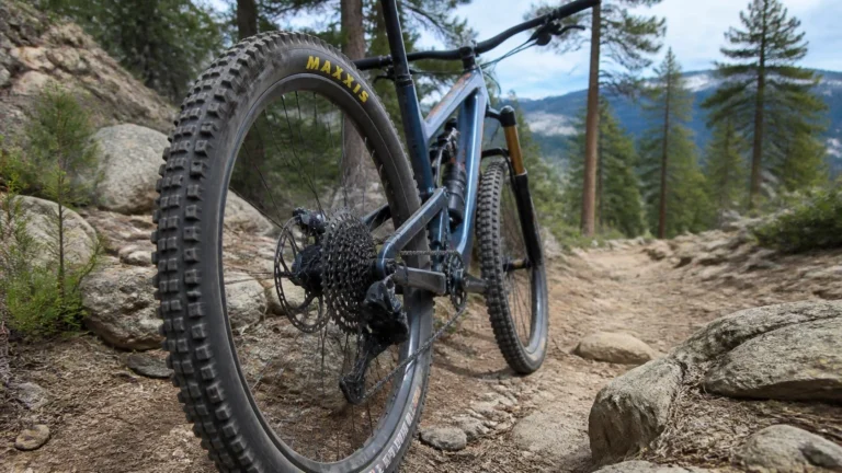 Maxxis Mountain Bike Tires